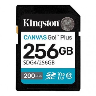 KINGSTON 256GB UHS-I SD Memory Card (Class 10, U3, V30) KINGSTON 256GB UHS-I SD Memory Card (Class 10, U3, V30)
