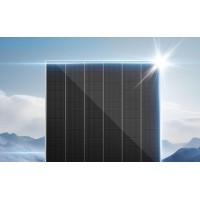 TrinaSolar Bifacial Dual Glass Monocrystalline Module VERTEX TSM- NEG21C.20 N-Type 710 W