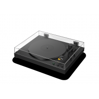Sony Sony