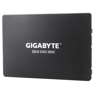 Gigabyte GP-GSTFS31256GTND 256 GB, SSD interface SATA, Write speed 500 MB/s, Read speed 520 MB/s Gigabyte GP-GSTFS31256GTND 256 GB, SSD interface SATA, Write speed 500 MB/s, Read speed 520 MB/s