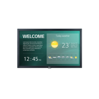 LG 22SM3G-B 21.5 1920x1080/250cd/m2/14ms/ HDMI USB