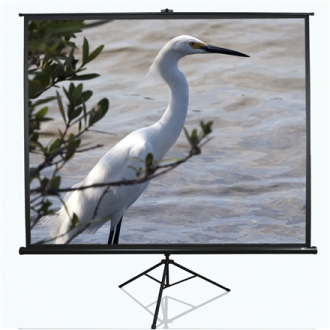 Elite Screens Tripod Series T120UWV1 Diagonal 120 Elite Screens Tripod Series T120UWV1 Diagonal 120