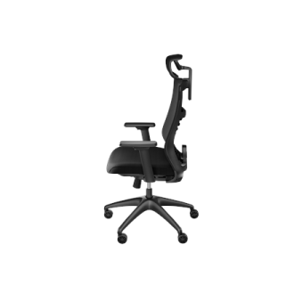 Genesis Ergonomic Chair Astat 200 Black Genesis Ergonomic Chair Astat 200 Black