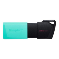 Kingston USB Flash Drive DataTraveler Exodia 256 GB, USB 3.2 Gen 1, Black/Teal Kingston USB Flash Drive DataTraveler Exodia 256 GB, USB 3.2 Gen 1, Black/Teal