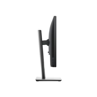 Dell Professional P1917S 19 Dell Professional P1917S 19
