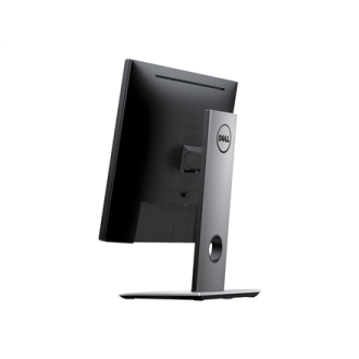 Dell Professional P1917S 19 Dell Professional P1917S 19