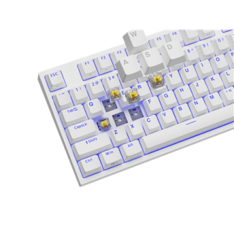 Genesis Mechanical Gaming Keyboard THOR 404 TKL RGB Mechanical Gaming Keyboard Wired US Gateron Yellow Pro USB Type-A 1005 g Genesis Mechanical Gaming Keyboard THOR 404 TKL RGB Mechanical Gaming Keyboard Wired US Gateron Yellow Pro USB Type-A 1005 g