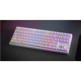 Genesis Mechanical Gaming Keyboard THOR 404 TKL RGB Mechanical Gaming Keyboard Wired US Gateron Yellow Pro USB Type-A 1005 g Genesis Mechanical Gaming Keyboard THOR 404 TKL RGB Mechanical Gaming Keyboard Wired US Gateron Yellow Pro USB Type-A 1005 g