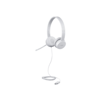 Lenovo | USB Headset | 110 Stereo | Yes | USB Type-A Lenovo | USB Headset | 110 Stereo | Yes | USB Type-A