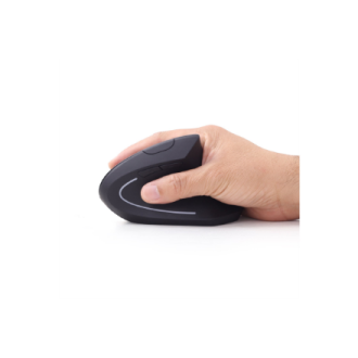 Gembird | MUSW-ERGO-01 | 2.4GHz Wireless Optical Mouse | Optical Mouse | USB | Black Gembird | MUSW-ERGO-01 | 2.4GHz Wireless Optical Mouse | Optical Mouse | USB | Black
