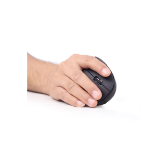 Gembird | MUSW-ERGO-01 | 2.4GHz Wireless Optical Mouse | Optical Mouse | USB | Black Gembird | MUSW-ERGO-01 | 2.4GHz Wireless Optical Mouse | Optical Mouse | USB | Black