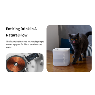 PETKIT | Smart Pet Drinking Fountain | Eversweet Solo | Capacity 1.8 L | Filtering | Material Plastic | White PETKIT | Smart Pet Drinking Fountain | Eversweet Solo | Capacity 1.8 L | Filtering | Material Plastic | White