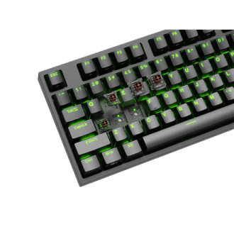 Genesis | THOR 404 TKL | Mechanical Gaming Keyboard | Wired | US | RGB | Black | USB-A | Kailh Box Brown V2 Genesis | THOR 404 TKL | Mechanical Gaming Keyboard | Wired | US | RGB | Black | USB-A | Kailh Box Brown V2