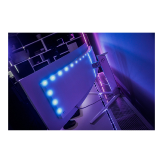 Philips | Gaming Monitor | 49M2C8900/00 | 48.9 