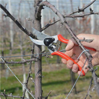 Felco | One-hand pruning shear | FELCO 2 Felco | One-hand pruning shear | FELCO 2