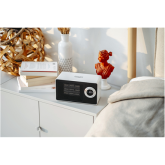 Adler | AD 7746 | Ceramic fan heater | 1000 W | Number of power levels 2 | White Adler | AD 7746 | Ceramic fan heater | 1000 W | Number of power levels 2 | White