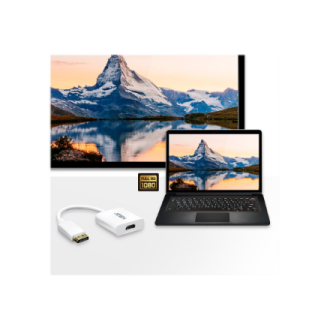 Aten | VC985 DisplayPort to HDMI Adapter | DisplayPort to HDMI Aten | VC985 DisplayPort to HDMI Adapter | DisplayPort to HDMI