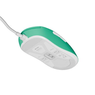Fury | Gaming Mouse | Tanto T4 | Wired | USB | Mint Fury | Gaming Mouse | Tanto T4 | Wired | USB | Mint