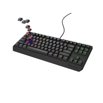 Genesis | THOR 230 TKL | Mechanical Gaming Keyboard | Wired | US | Linear | Black | RGB