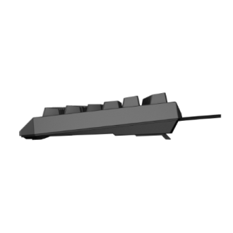Genesis | THOR 230 TKL | Mechanical Gaming Keyboard | Wired | US | Linear | Black | RGB