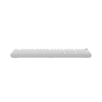 Genesis Thor 404 | Mechanical Gaming Keyboard | Wired | US | Outemu Peach Silent | White Genesis Thor 404 | Mechanical Gaming Keyboard | Wired | US | Outemu Peach Silent | White