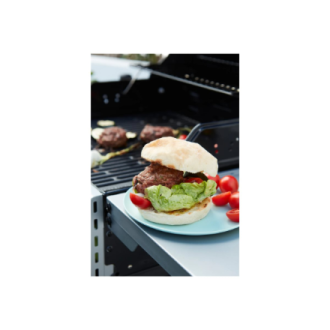 Barbecook Gas Barbecue Spring 2002, 111 x 55 x 115 cm | BC-GAS-2009 Barbecook Gas Barbecue Spring 2002, 111 x 55 x 115 cm | BC-GAS-2009