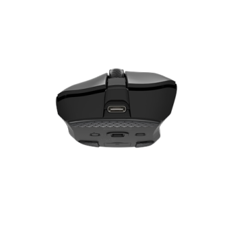 Genesis Zircon 880 | Wireless | Gaming Mouse | Black | 2.4 GHz, Bluetooth, USB Genesis Zircon 880 | Wireless | Gaming Mouse | Black | 2.4 GHz, Bluetooth, USB