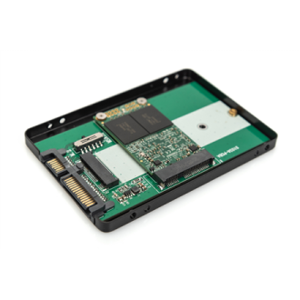 Digitus 2.5