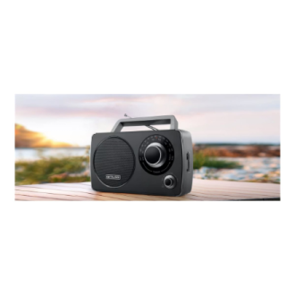 Muse | Portable Radio | M-075 R | AUX in Muse | Portable Radio | M-075 R | AUX in