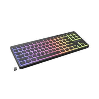 Genesis Thor 430 TKL | Gaming Keyboard | Wireless | Bluetooth | US | Linear | Black Genesis Thor 430 TKL | Gaming Keyboard | Wireless | Bluetooth | US | Linear | Black