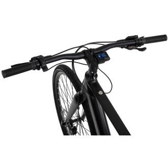Elektrijalgratas Ecobike Urban Plus 10 + 7 Ah 601Wh