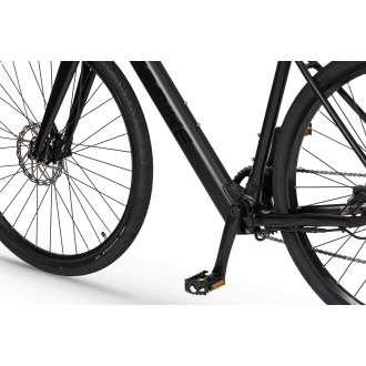 Elektrijalgratas Ecobike Urban Plus 10 + 7 Ah 601Wh
