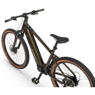 Elektrijalgratas Ecobike SX300 Green V2 900Wh-21