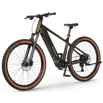 Elektrijalgratas Ecobike SX300 Green V2 900Wh-21