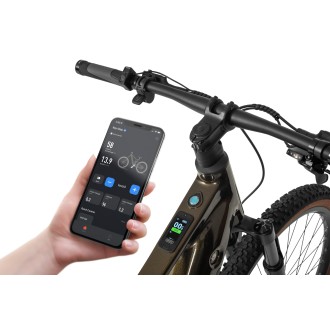 Elektrijalgratas Ecobike SX300 Green V2 900Wh-21