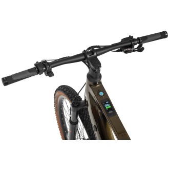 Elektrijalgratas Ecobike SX300 Green V2 900Wh-21