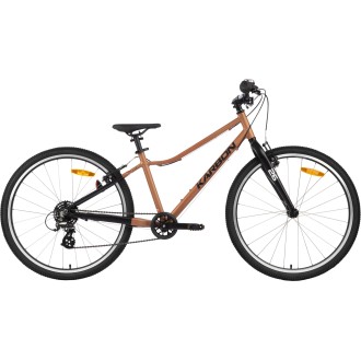 Jalgratas Karbon Superlight 26 copper Jalgratas Karbon Superlight 26 copper