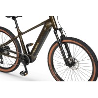 Elektrijalgratas Ecobike SX300 Green V2 900Wh-21 Elektrijalgratas Ecobike SX300 Green V2 900Wh-21