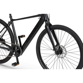Elektrijalgratas Ecobike Urban Plus 10 + 7 Ah 601Wh