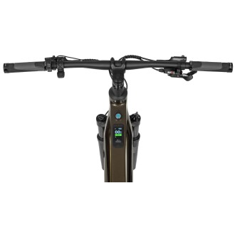 Elektrijalgratas Ecobike SX300 Green V2 900Wh-21