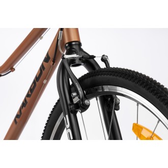 Jalgratas Karbon Superlight 26 copper Jalgratas Karbon Superlight 26 copper