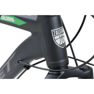 Jalgratas Romet ŽALGIRIS R6 black-green-18