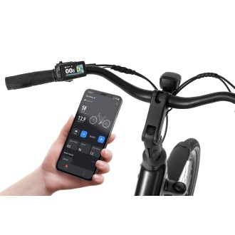 Elektrijalgratas Ecobike LX100 Black V2 504Wh-19