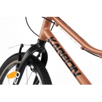 Jalgratas Karbon Superlight 20 copper Jalgratas Karbon Superlight 20 copper