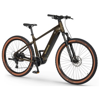 Elektrijalgratas Ecobike SX300 Green V2 900Wh-21