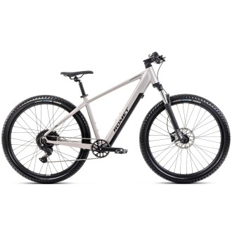 Elektrijalgratas Romet e-Rambler 2.0 504WH 2025 silver-graphite-20 Elektrijalgratas Romet e-Rambler 2.0 504WH 2025 silver-graphite-20