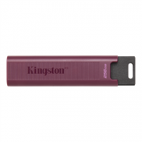Kingston DataTraveler MAX 256GB USB 3.2 Gen 2 Standard, Type-A