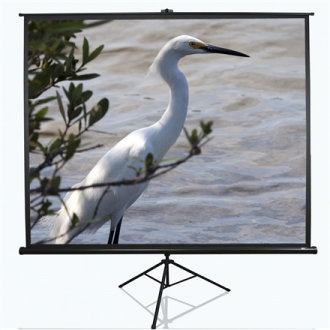 Elite Screens Tripod Series T120UWV1 Diagonal 120 