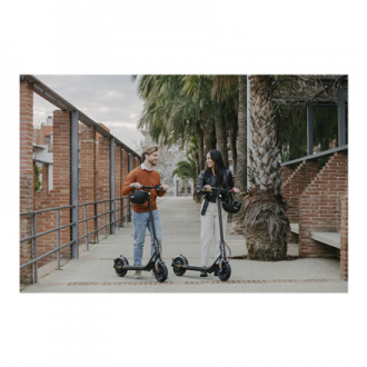 Ninebot by Segway Kickscooter F2 E, Black Segway Kickscooter F2 E Up to 25 km/h 10 
