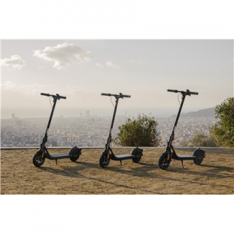Ninebot by Segway Kickscooter F2 E, Black Segway Kickscooter F2 E Up to 25 km/h 10 
